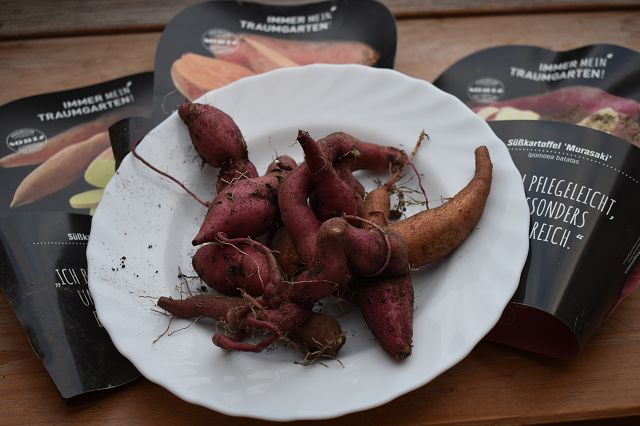 Obst Und Gemuse Aus Dem Eigenen Garten Archive Mama Mude Mein